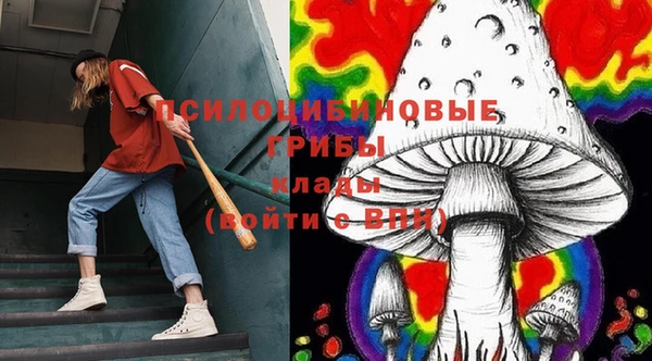 мет Аркадак