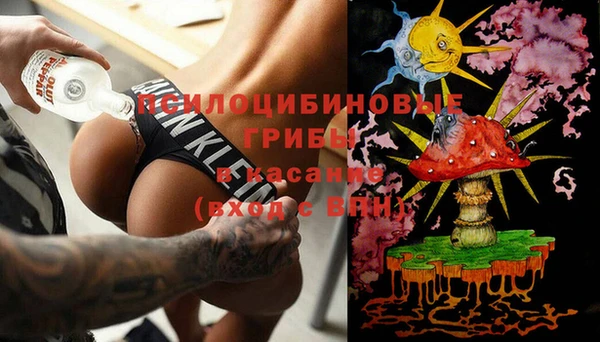 spice Армянск