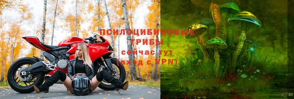 spice Армянск