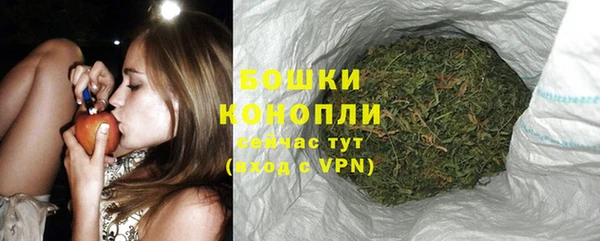 прущий лед Арсеньев